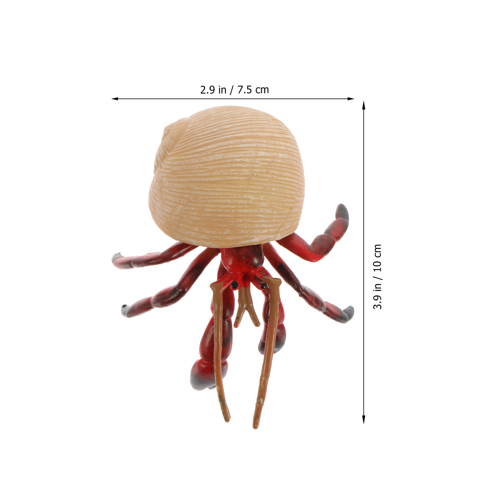 Decorazione Realistica di Gran - Kids Education Toy recensione e prezzo